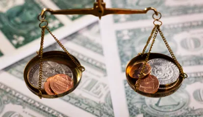 Financial Law: What Does This Specialization at UCV Include?