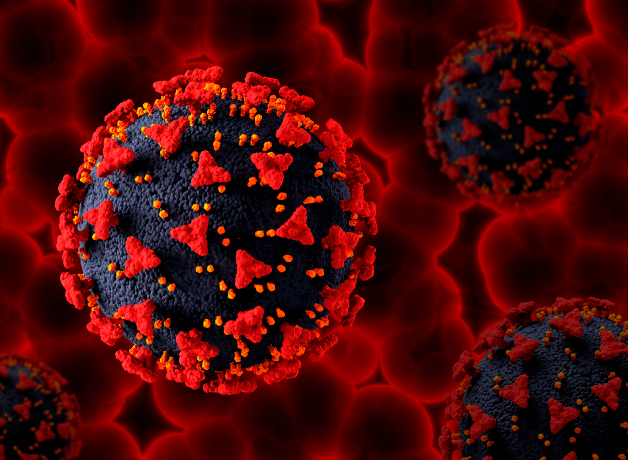 virus-hmpv-representa-un-peligro
