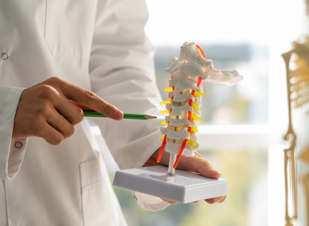 osteoporosis-en-adultos-mayores