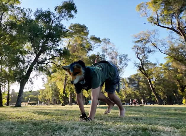 theriantropia-una-forma-de-identidad